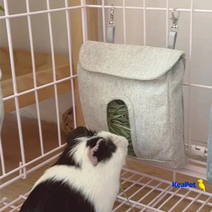 HayBag – Small Pet Feeder