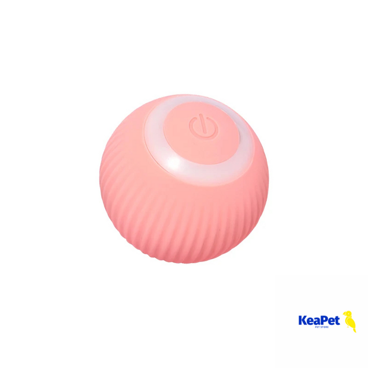 Smart Interactive Cat Toy