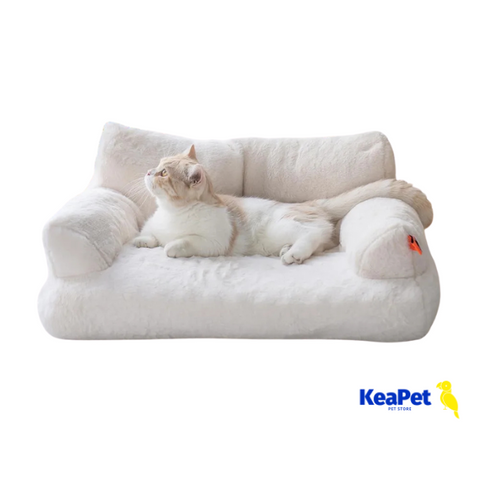 Cat Couch Bed | Washable Cat Beds for Medium Small Dogs & Cats