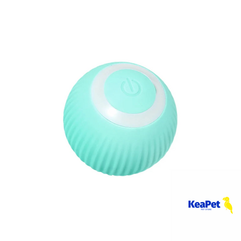 Smart Interactive Cat Toy