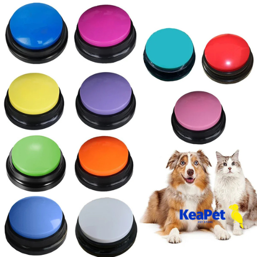 Funny Dog Recordable Pet Toys