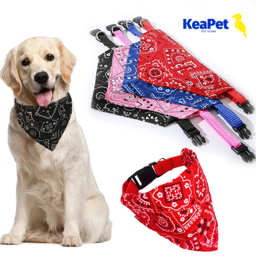 Purrfect Style Adjustable Bandana