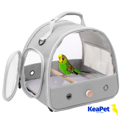 Portable Clear Bird Parrot Transport Cage