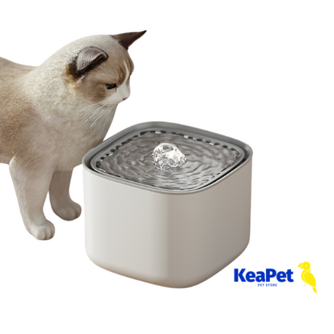 3L Large Capacity Automatic Pet Water Fountain