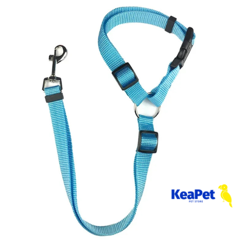 Solid Color Two-in-one Pet Car Seat Belt and Leash