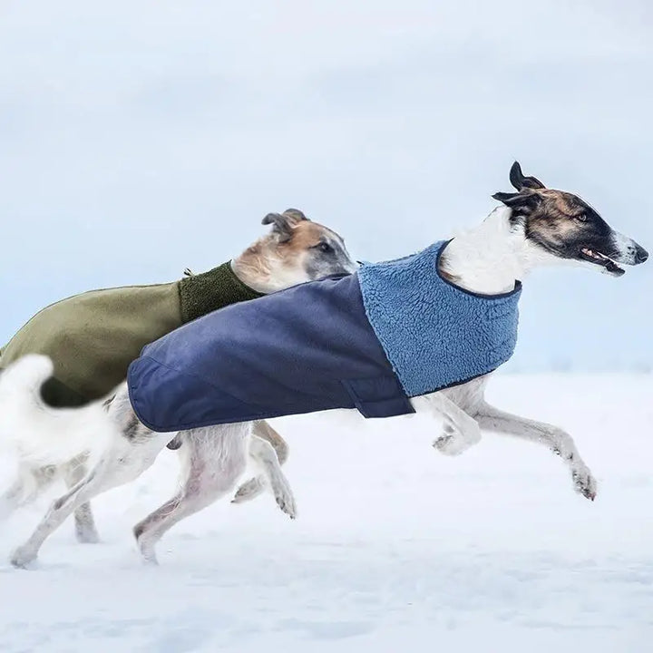 WinterShield Waterproof Dog Jacket (Warm & Windproof)