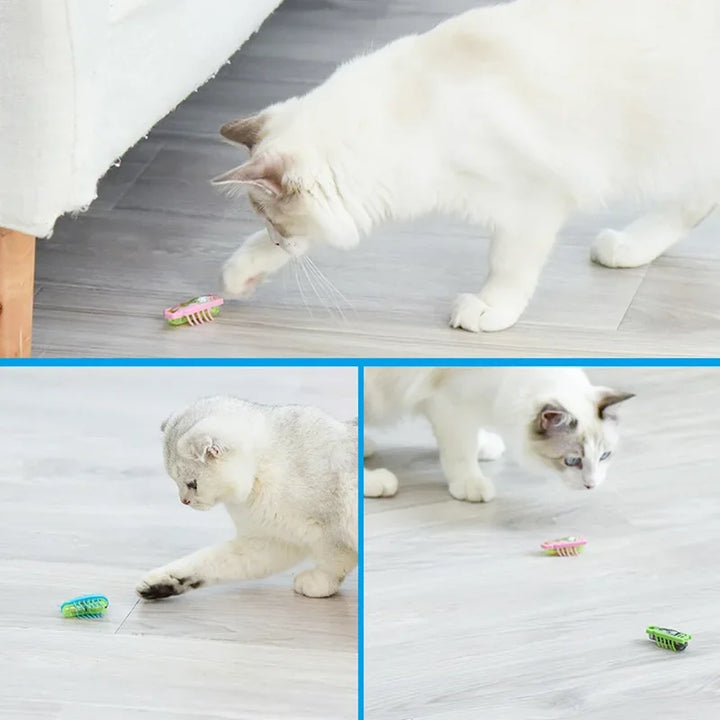 Automatic Mini Robot Bug for Cat