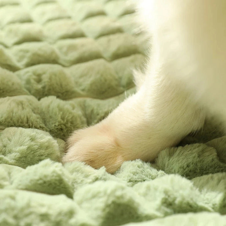 Winter Warm Dog Mat - Luxury Sofa Bed for Small to Medium Dogs and Cats