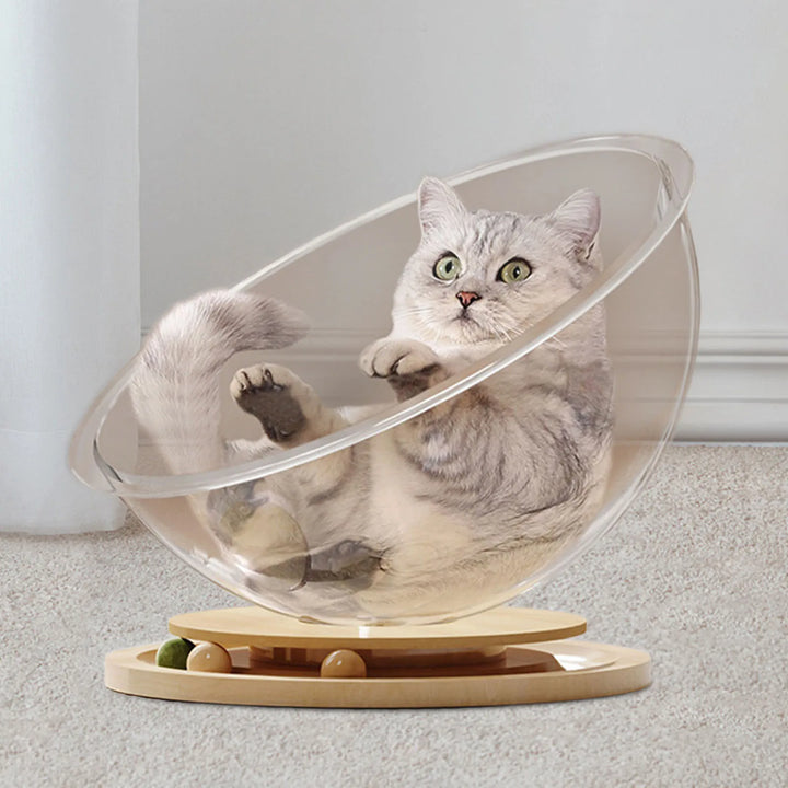 Space Capsule Cat Bed | Transparent Cat Sleeping Nest
