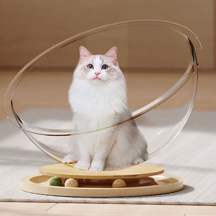 Space Capsule Cat Bed | Transparent Cat Sleeping Nest
