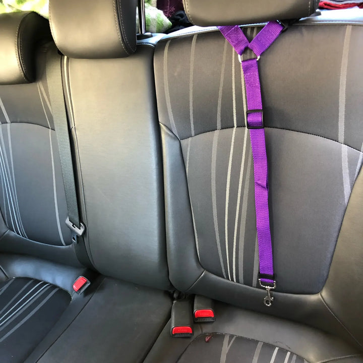 Solid Color Two-in-one Pet Car Seat Belt and Leash