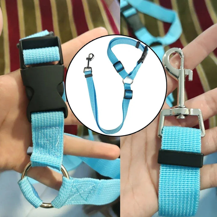 Solid Color Two-in-one Pet Car Seat Belt and Leash