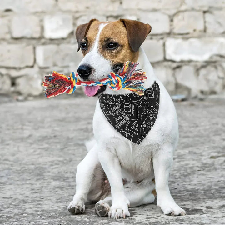 Purrfect Style Adjustable Bandana