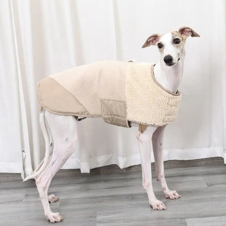WinterShield Waterproof Dog Jacket (Warm & Windproof)