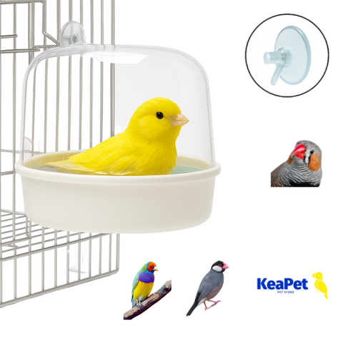 Hanging Bird Bath Box for Canaries, Finches...