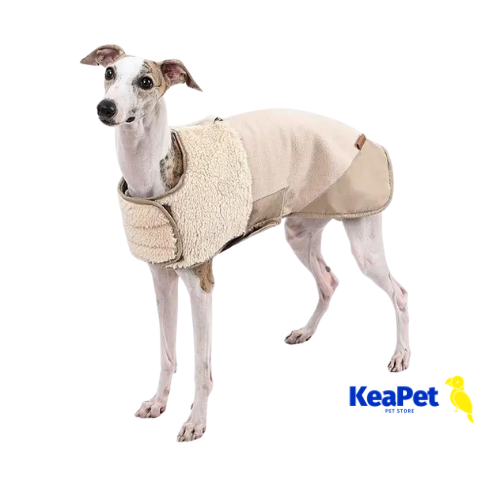 WinterShield Waterproof Dog Jacket (Warm & Windproof)
